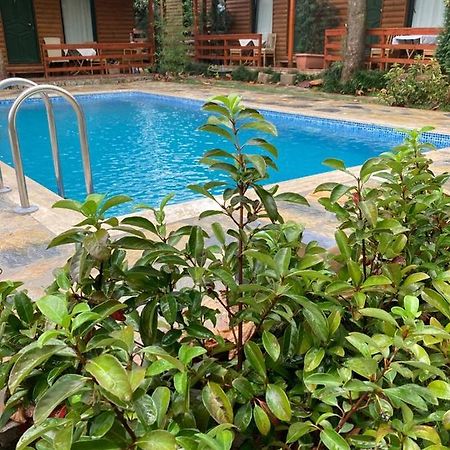 Tatil Keyfi Motel Kocaeli Extérieur photo